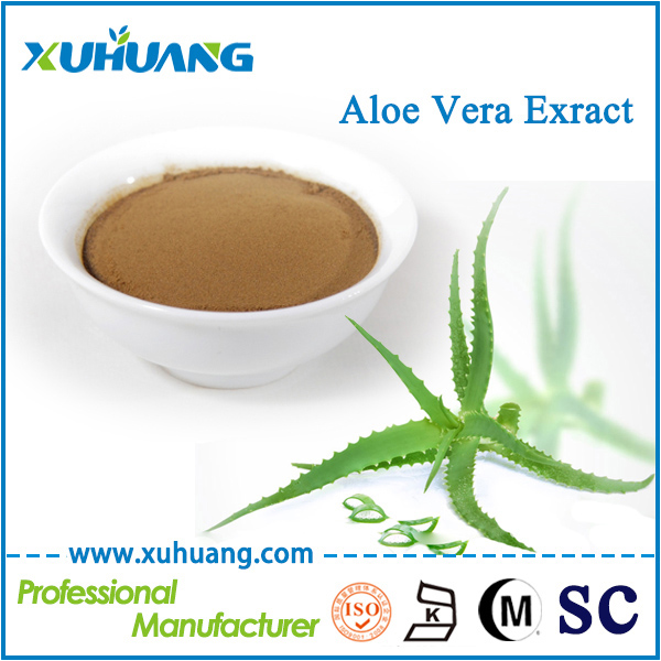 庫拉索蘆薈提取物
